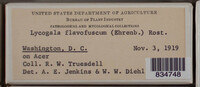 Image Associated With the Occurence